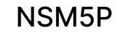 Nsm5p (Accueil)